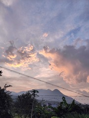 1000107225