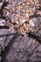 71E65D5E-D582-45CD-9C55-64F7AE5BF147/L0/001