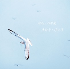 C37D9C77-327C-4DA3-BD9E-366C561DA3A8/L0/001