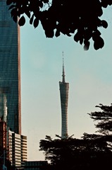 8B17C8E5-797B-4E9D-9C93-141053999A71/L0/001