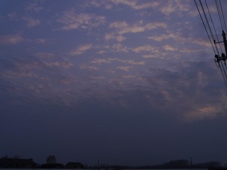 1181673