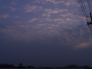 1181671