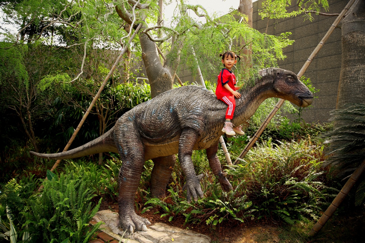 春游之萌娃骑恐龙