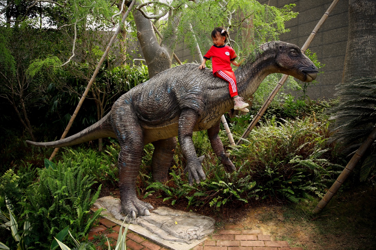 春游之萌娃骑恐龙