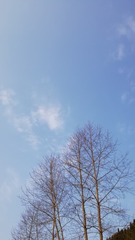 1069274