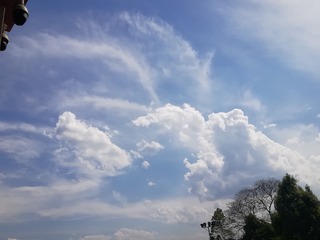 1152278