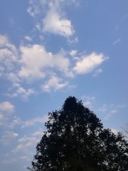 1667643