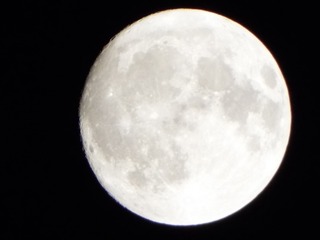 0F6A7AC0-266E-420E-AB53-DF591E64E05C/L0/001