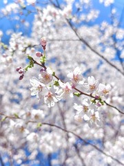 79A62858-31BF-48E1-A3A7-DA8193EADC89/L0/001