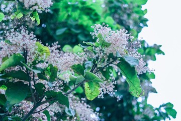 86F802C4-04A5-4D8F-AE57-8AB0DD91F3B4/L0/001