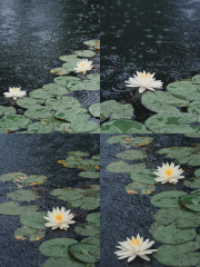 001