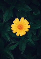 810029