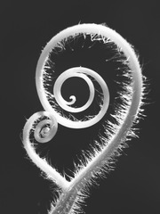788330