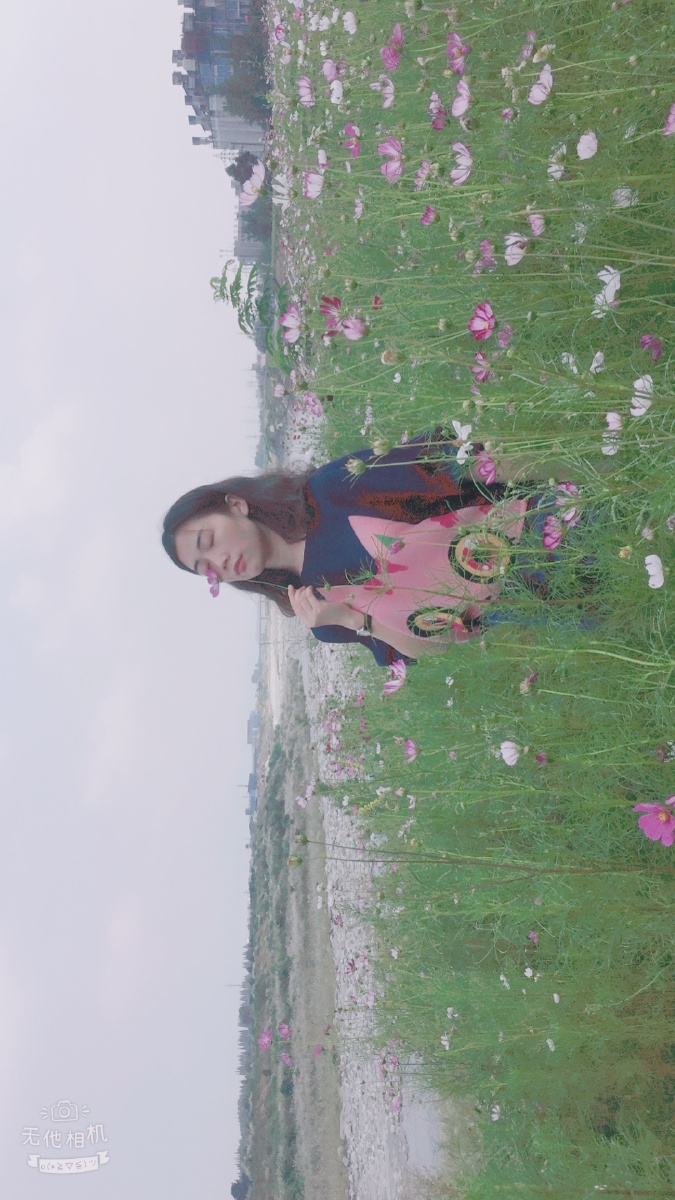 簌簌清扬 - 图虫