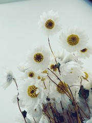 D97062C7-805A-4D25-809B-F444FEFBCE45/L0/001