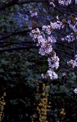 842224A3-7AB4-4E3B-9265-C882B8F92B6A/L0/001