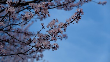 75026DFA-D08C-4F37-8F3A-9EBE80DD7DB5/L0/001