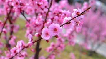 0A7AC9F3-C98C-4DB5-A8D8-8B7638C255E1/L0/001