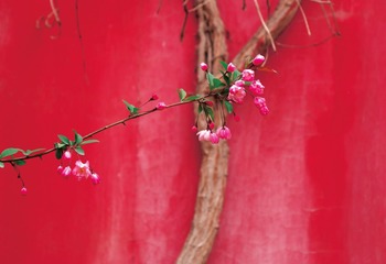 C426337A-5A09-401B-A9F8-18976FE4C7CB/L0/001