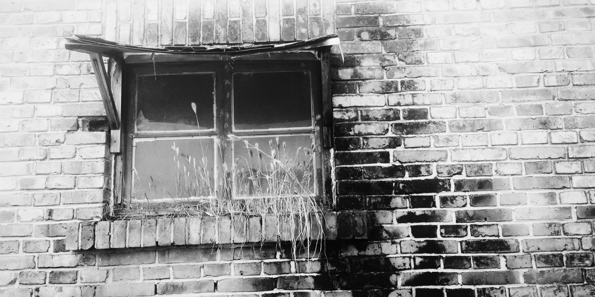 长满野草的窗户一一老厂房黑白世界