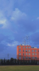 3774392