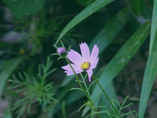A9382116-E32F-4B84-B437-11ADF36ED2C1