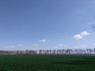 308260