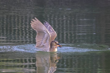 41712