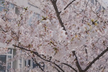 047BA2DC-841B-413D-8AFE-A4B6AAE595CC/L0/001