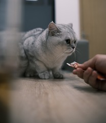 652604