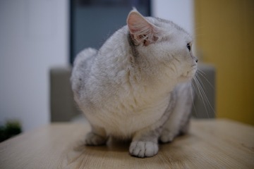 652598
