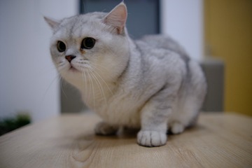 652597