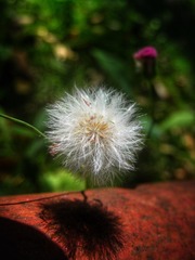 B42E226C-A8DE-4947-A5DB-176F651045AE/L0/001