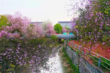 8060030D-1889-42D6-BB20-5CF54873E773/L0/001