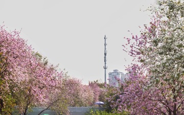 2A3A78E2-6397-4BA6-B590-95A2CE2F0FCB/L0/001