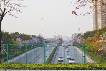 D6E63FE4-A56C-47A8-BE76-AE6506EE3CB9/L0/001