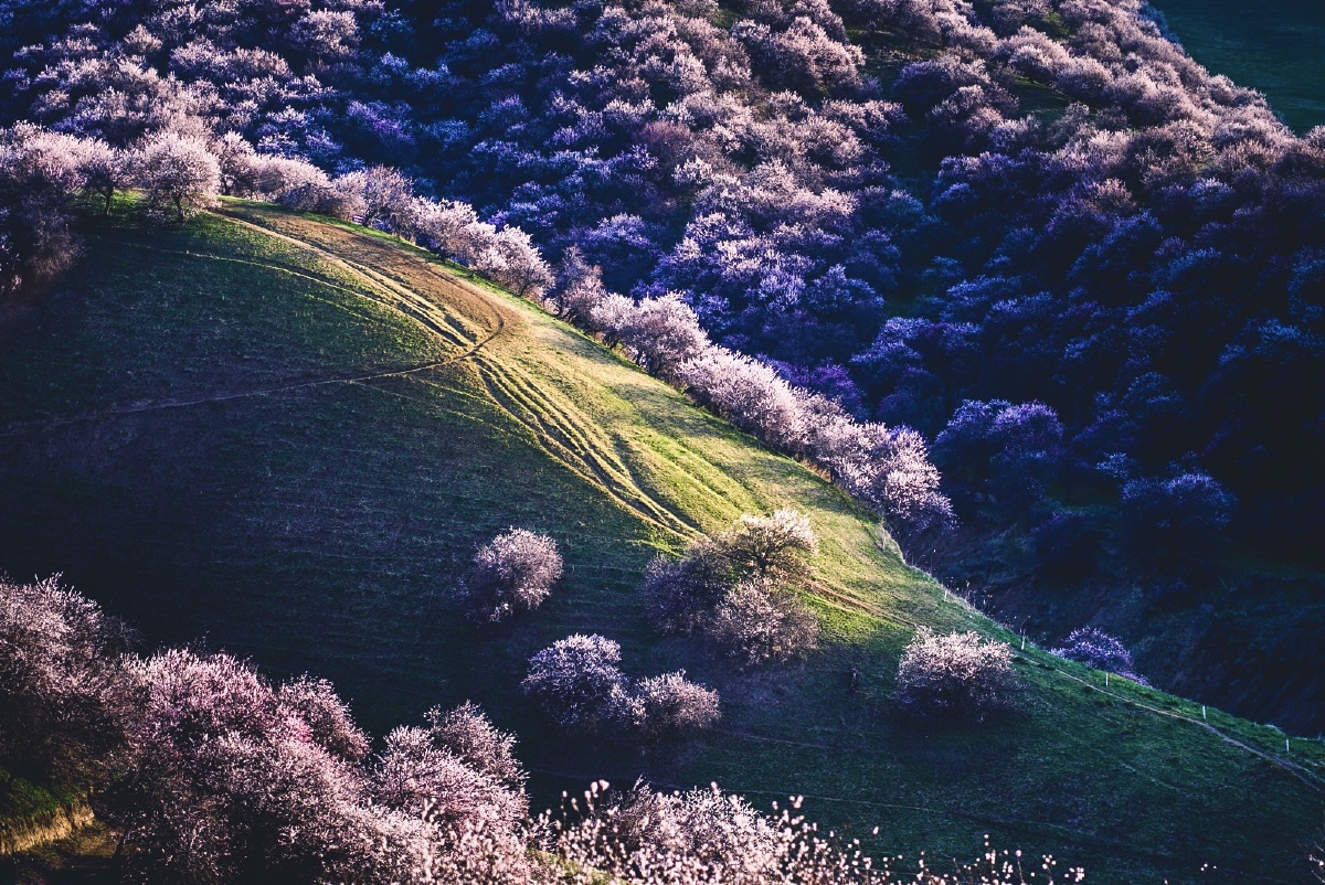 新疆杏花沟