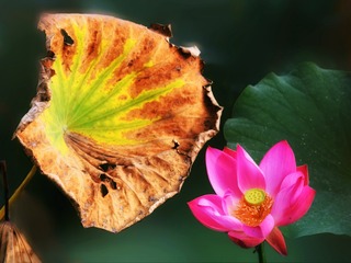 02B43BD2-E987-4D91-971B-0D1A687C8276/L0/001