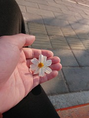 1050494