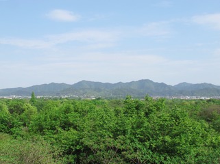 2D3C1C28-E16E-4A18-96C1-DC519E88E298/L0/001