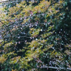 6CF1DD8D-65AC-4FCC-BA0E-702220CA98BC/L0/001