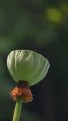 169717