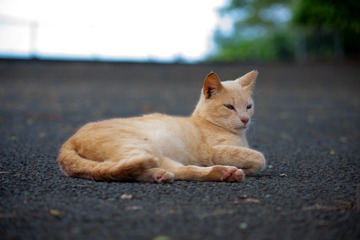 13527