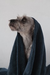 9472
