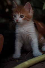 13080