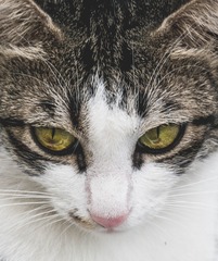 14248