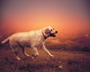 5155