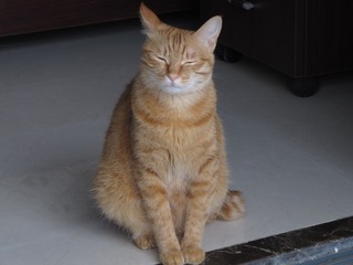 14222