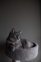 14307