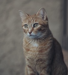 12857